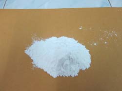 Raw cashew in shells Starch-Super high grade